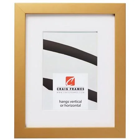 Craig Frames Confetti - 12x18 inch Modern Gold Picture Frame Matted for A 10x13 Photo, Size: 12 x 18