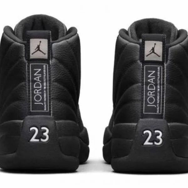 Air Jordan 12 Retro - 8.5