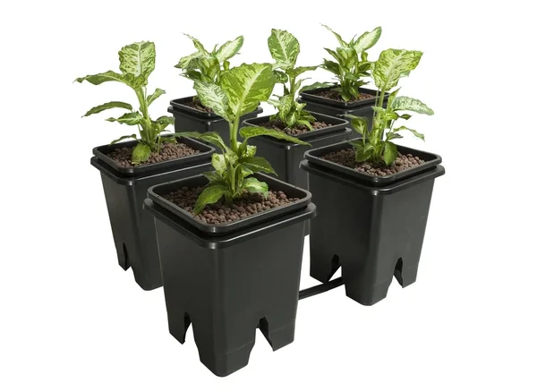 Active Aqua Grow Flow Expansion Kit 6 Pot 5 Gallon