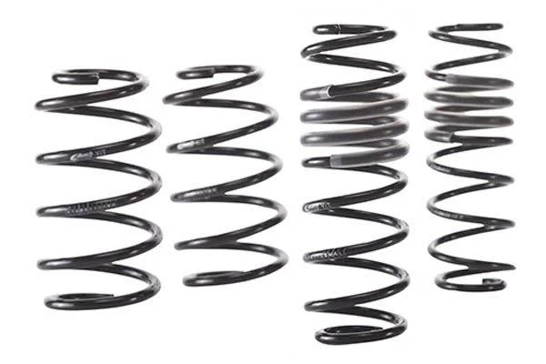 Eibach E10-23-018-02-22 PRO-KIT Springs