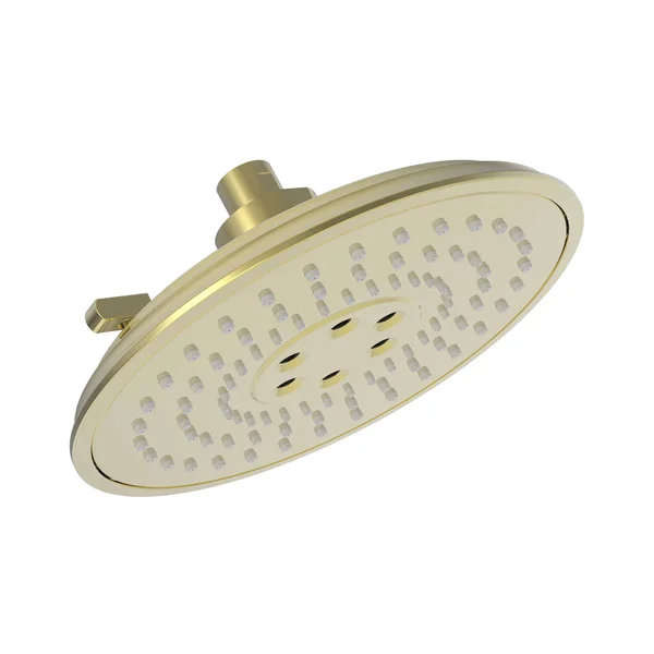 Newport Brass 2157/01 Multifunction Showerhead - Forever Brass - PVD