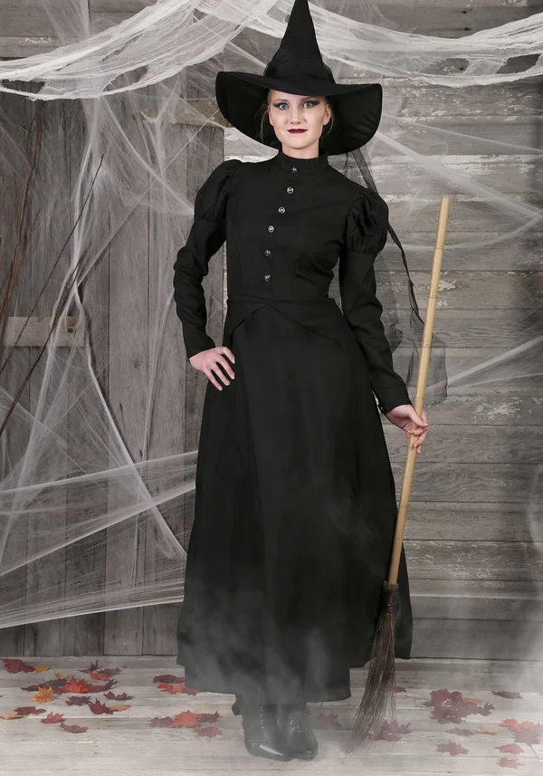 FUN Costumes Women's Plus Size Witch Costume - Black, 2X