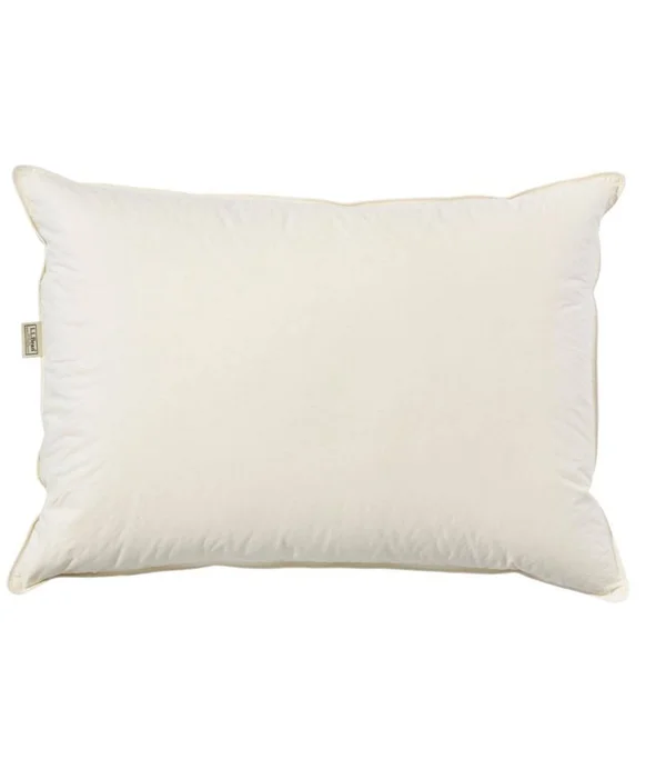 Organic Cotton Down Pillow Tan Standard Size, L.L.Bean