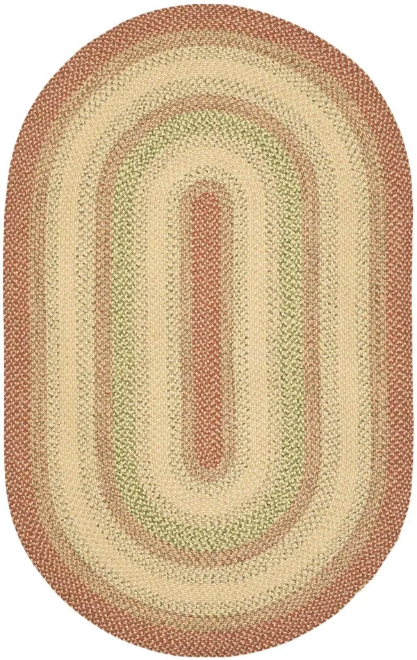 Safavieh Braided BRD303A Area Rug - Rust/Multi, Size: 5 x 8 ft.