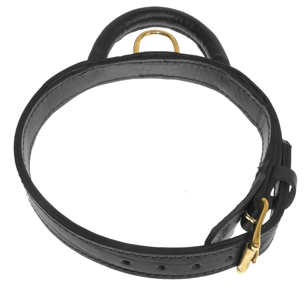 Viper Two-Ply Leather Collar with Handle