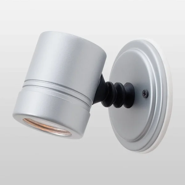 Access Lighting 23025MG-SILV/CLR Myra Silver Outdoor Spotlight