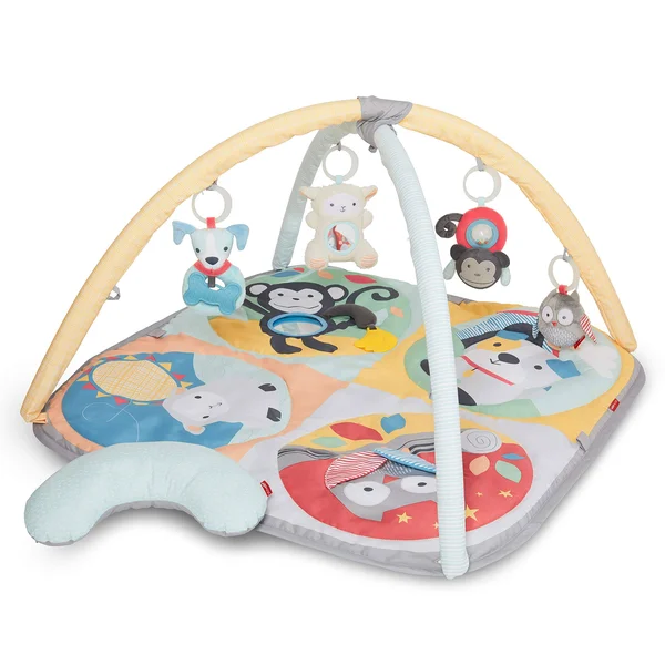 Skip Hop Hug and Hide Activity Gym