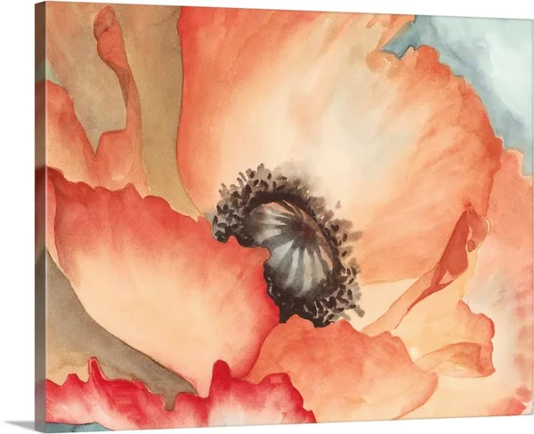 Canvas Wall Art entitled Watercolor Poppy II - 30x24