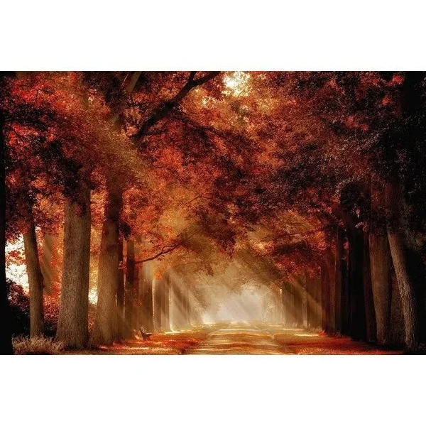 Easy Art Prints Lars Van De Goor's 'A Seat Not Taken' Premium Canvas Art - 16 x 24 - Classic Black Frame