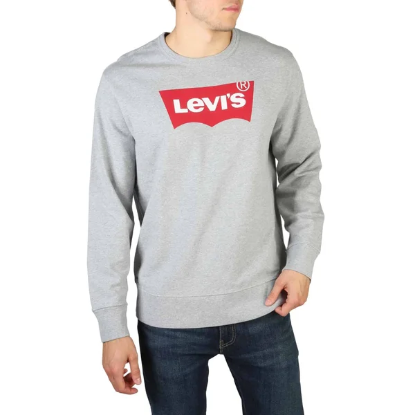 Levis - 17895_GRAPHIC - Grey - XL